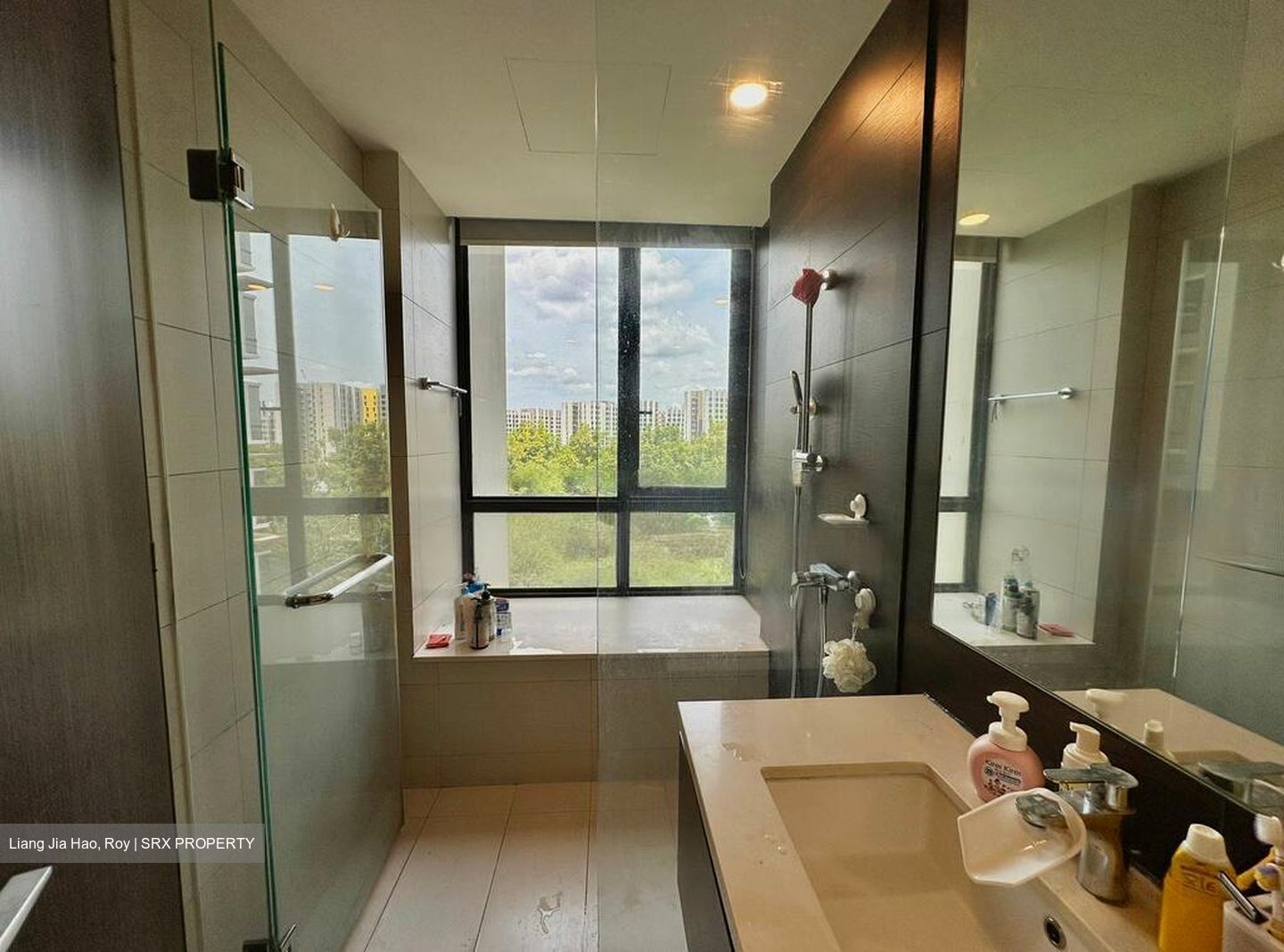 d'Nest (D18), Condominium #467723881